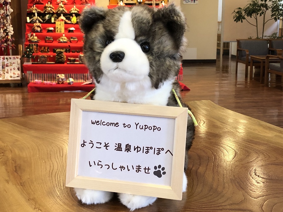ゆぽぽフロントのかわいい新入りスタッフさん あきた芸術村