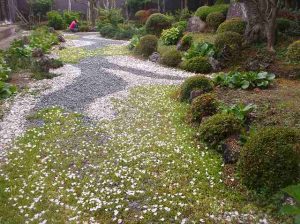 芸術村の庭だより 残る物 遺すもの あきた芸術村
