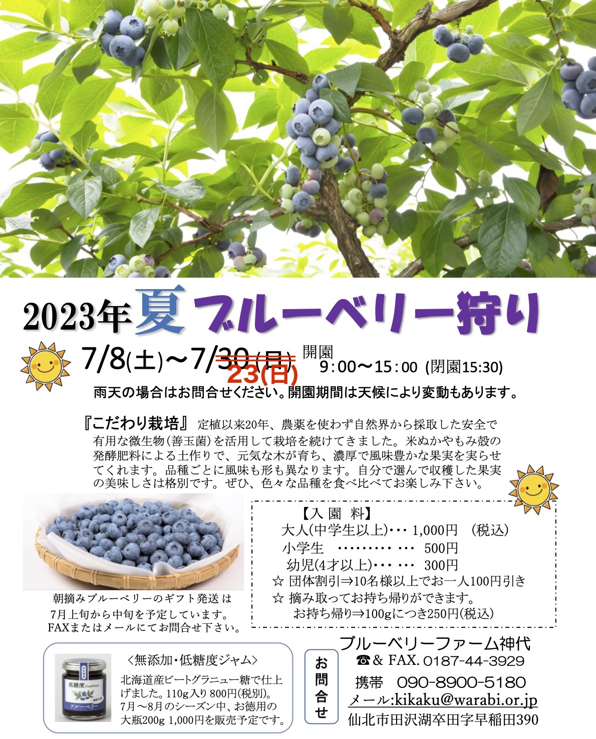 2023年ブルーベリー狩り夏　7/8(土)~7/30(日) 開園　9:00~15:00 (閉園15:30)雨天の場合はお問合せください。開園期間は天候により変動もあります。 『こだわり栽培』 定植以来20年、農薬を使わず自然界から採取した安全で有用な微生物(善玉菌)を活用して栽培を続けてきました。米ぬかやもみ殻の発酵肥料による土作りで、元気な木が育ち、濃厚で風味豊かな果実を実らせてくれます。品種ごとに風味も形も異なります。自分で選んで収穫した果実の美味しさは格別です。ぜひ、色々な品種を食べ比べてお楽しみ下さい。 【入園料】 大人(中学生以上) 1,000円 (税込)　小学生500円 幼児(4才以上)300円 ☆ 団体割引⇒10名様以上でお一人100円引き ☆ 摘み取ってお持ち帰りができます。 お持ち帰り⇒100gにつき250円(税込) 朝摘みブルーベリーのギフト発送は7月上旬から中旬を予定しています。 FAXまたはメールにてお問合せ下さい。 携帯 090-8900-5180 メール:kikaku@warabi.or.jp 仙北市田沢湖卒田字早稲田390 ◆最寄り駅/JR角館 ◆駐車場/あきた芸術村大駐車場(農園まで徒歩1分) ◆あきた芸術村予約センターでは、ミュージカル観劇、お食事、温泉入浴、宿泊のご予約承ります。 ☎0187-44-3939 へどうぞ 【電話受付時間】9:30~11:30 12:30~17:00 (月曜日~土曜日)